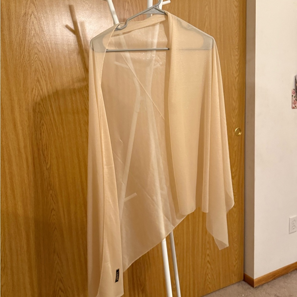 Elegant Sheer Sparkly Shawl